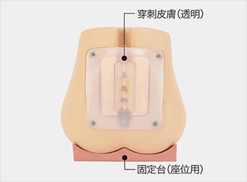 透明疑似皮膚