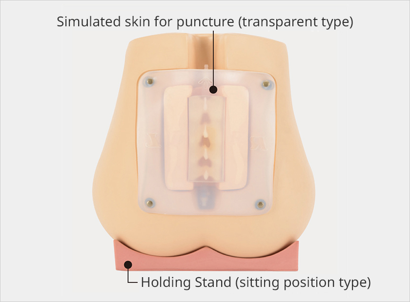 Transparent simulated skin